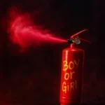 Огнетушитель, Девочка (Gender party) 3 kg